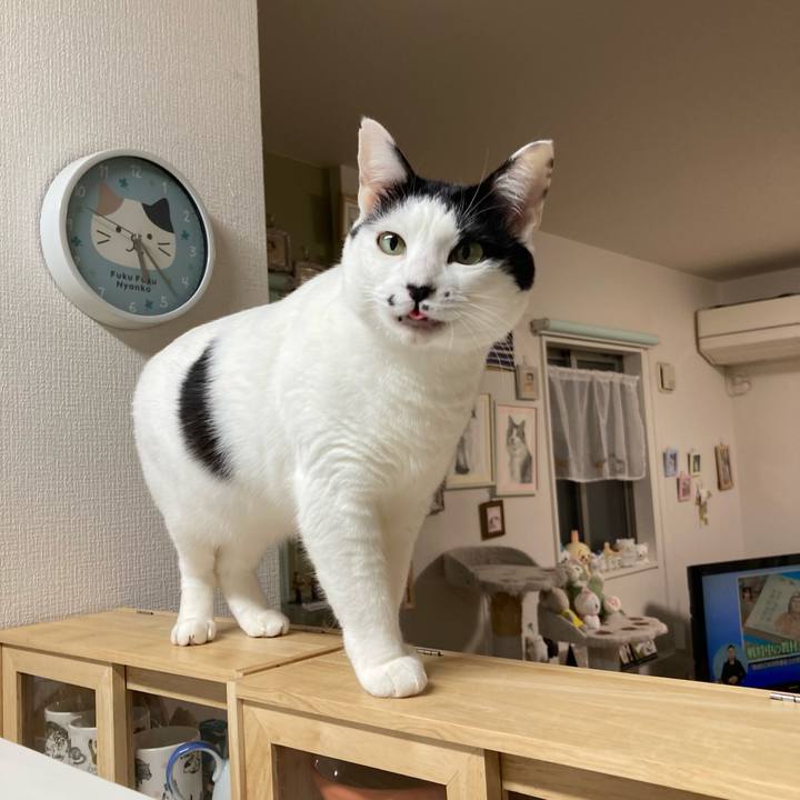 5770c69e 2951 4c5b a126 5934f739595b 1766262259013