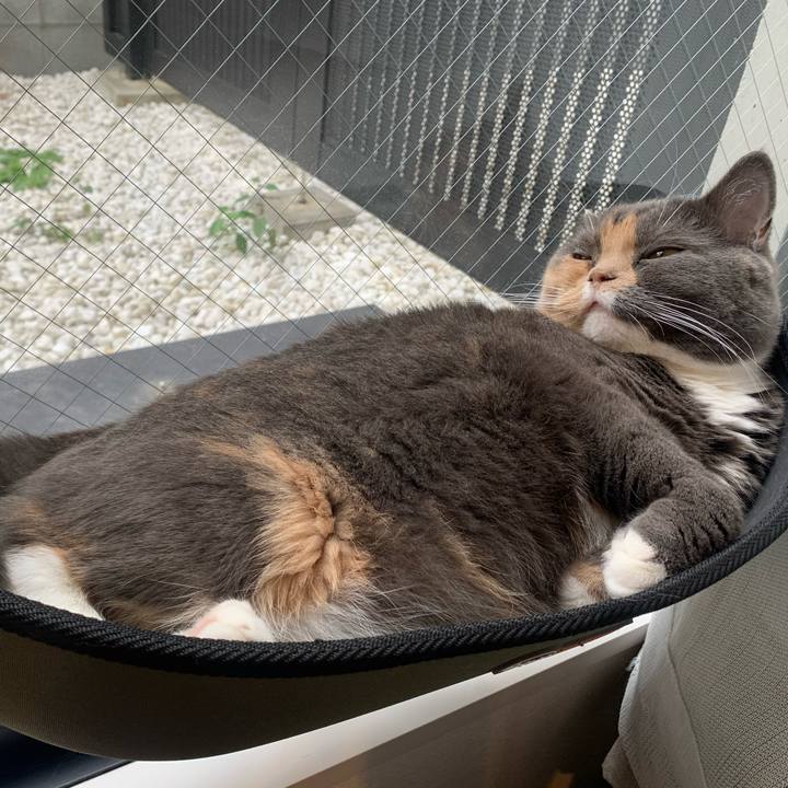 5770d9f3 68ec 49b1 a037 f0d3bca091e6 1606569883269