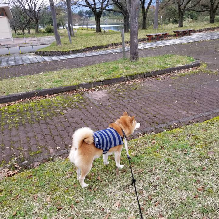 5771aa28 cf17 4a9c 9e0e 45a968399ab4 1635141585256