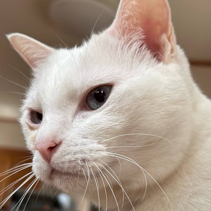 5771bc7f 8e88 44fe a085 63d430c75748 1688536188557