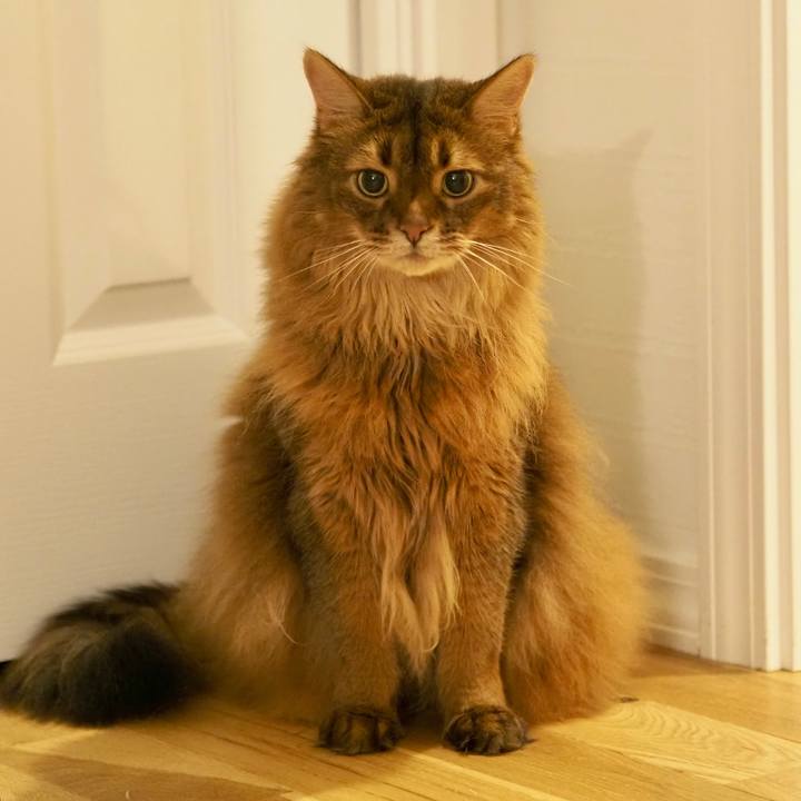 5771fde0 49fd 4acd 984d d6d004ca3162 1689307283221