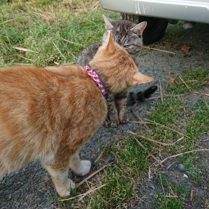 57720d19 1fc2 46d7 9c6b 0651cd420184 1558644146561