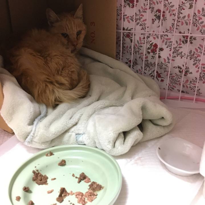 57724fbe 7c13 42dd 8e2e 7ae8e39e3883 1608685983143