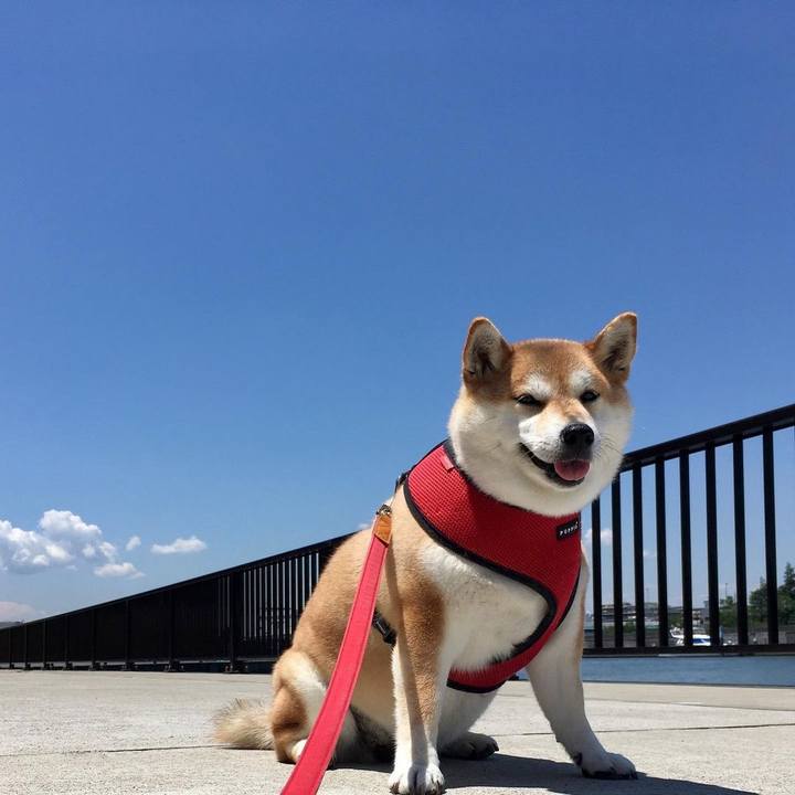 57725b74 31cf 48d4 a454 792502e2badb 1614983638118