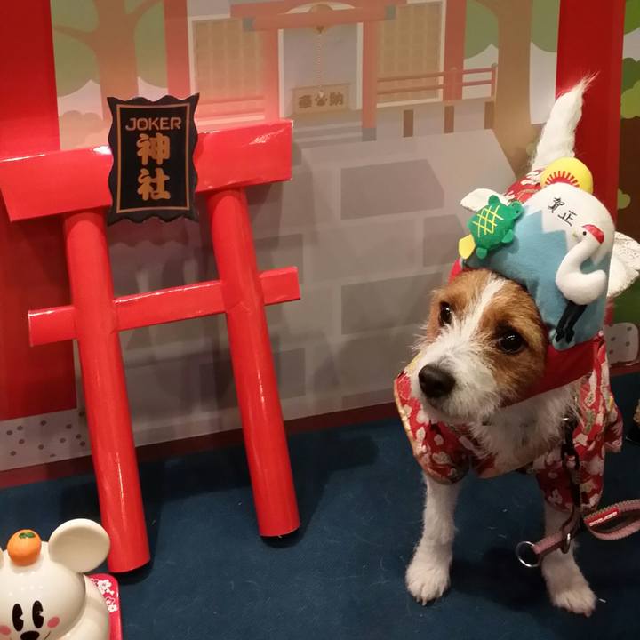 57726607 cfe2 4e6c 9743 410866bd1b0a 1514936445493