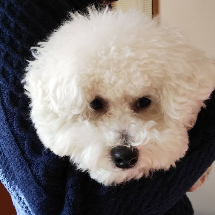 5772c205 6140 4b90 8f57 e85f65ae6359 1513498576212