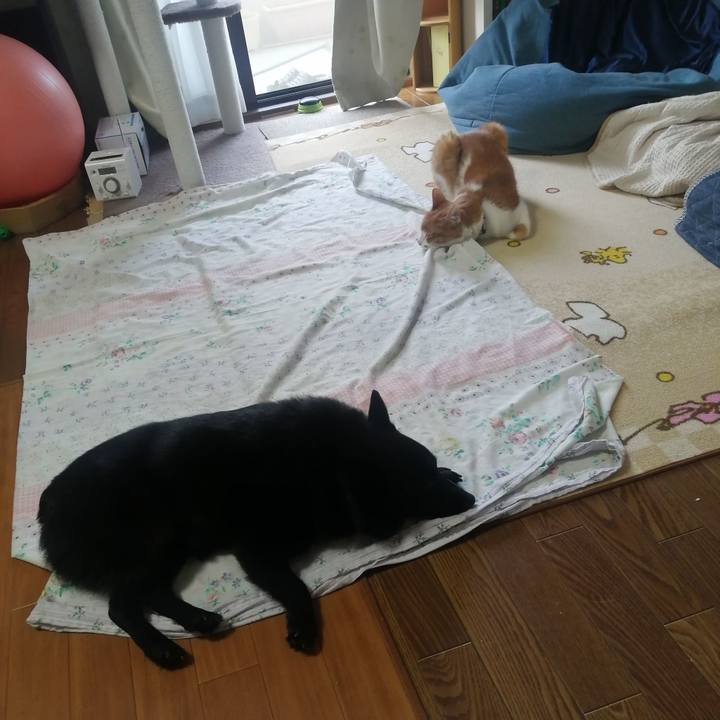 5773026f 7c2d 4f2f 930e 2ce20cdfbe6e 1654812858007