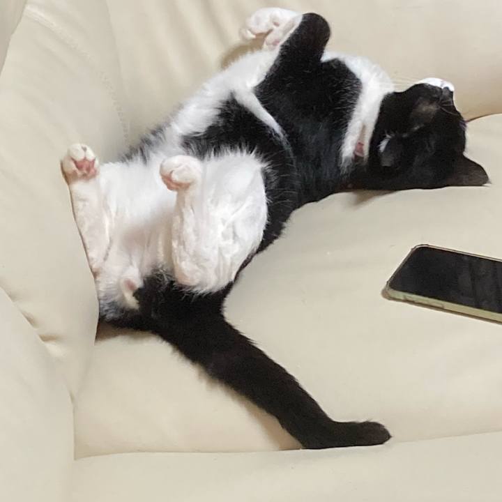 577302db cc0a 4c69 b245 2350a9fecdf0 1635541840111