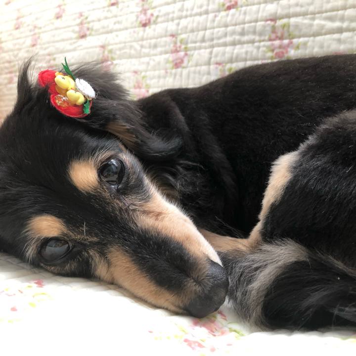 577319d4 30e3 486f bb22 2d4bd7311629 1618804488521