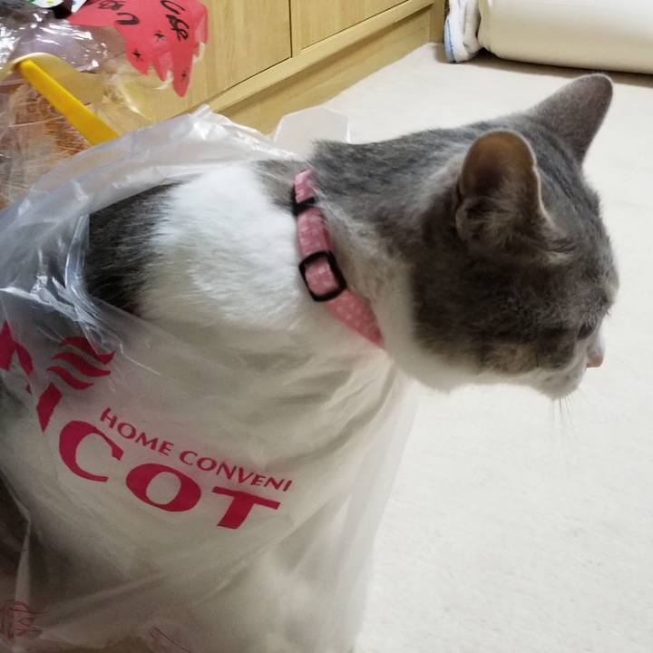 577333c4 1dcc 47d2 ab2b bb337b98d114 1561300759662