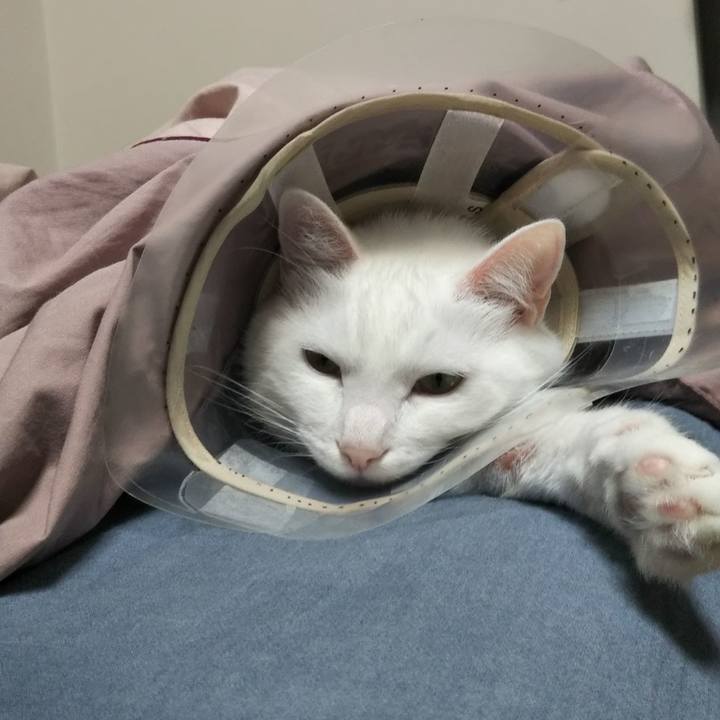 57735e13 f80d 408e 84a5 ed55f80a5c41 1683004443653