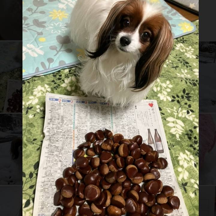 5773639e 51d1 4181 bc5f 675aaad80483 1701591641033