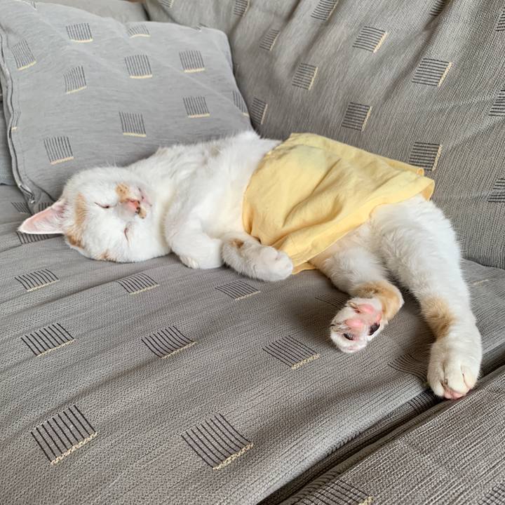 57736b96 142c 42d4 9e69 2ca07755f7ab 1569198644440