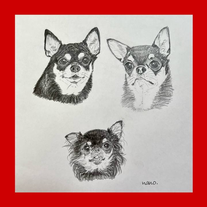 5773c23d 8875 4c73 a2eb 2f7fe7fe1acd 1696933201485