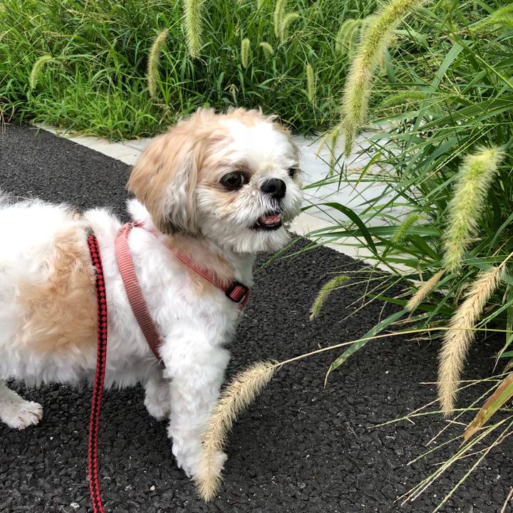 5773c73b 81eb 42f8 bd42 06b96c902ce5 1534035544794