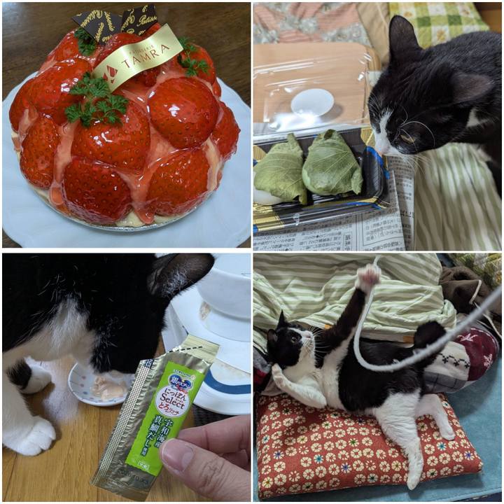 5773d77f 6a1b 4b88 8121 4ebc19872e73 1736582066754