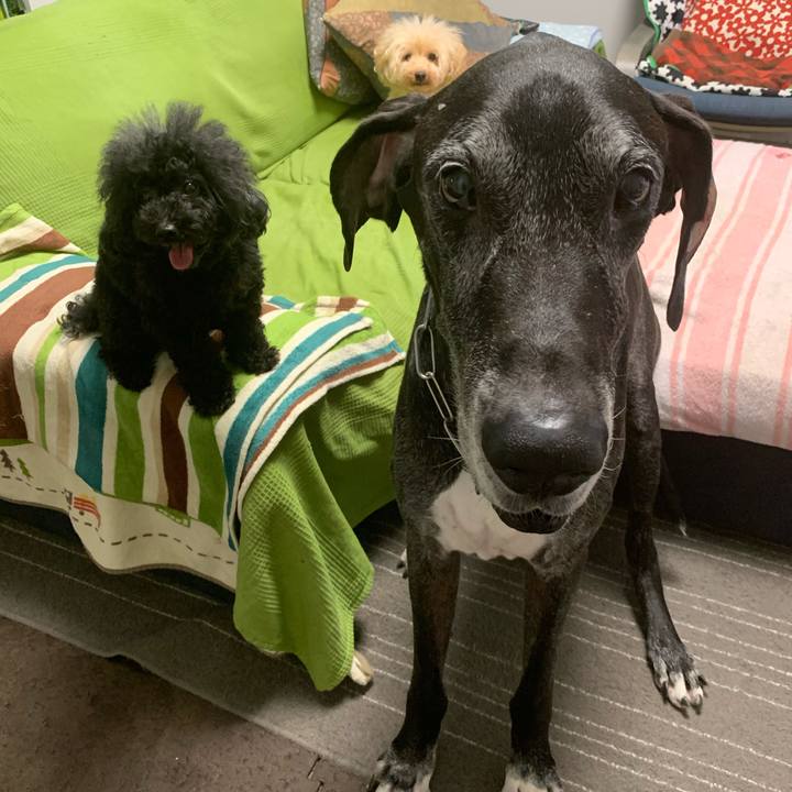 577407a8 9fe5 4fc0 8d97 5f1ad7ab293e 1599431427288