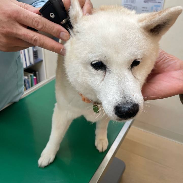 57745bd5 aae3 4f9f 91b3 898e6202453c 1686748975846