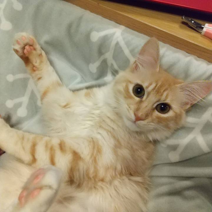 5774656b 1267 48d0 8db9 d36acc52abfa 1616677815283