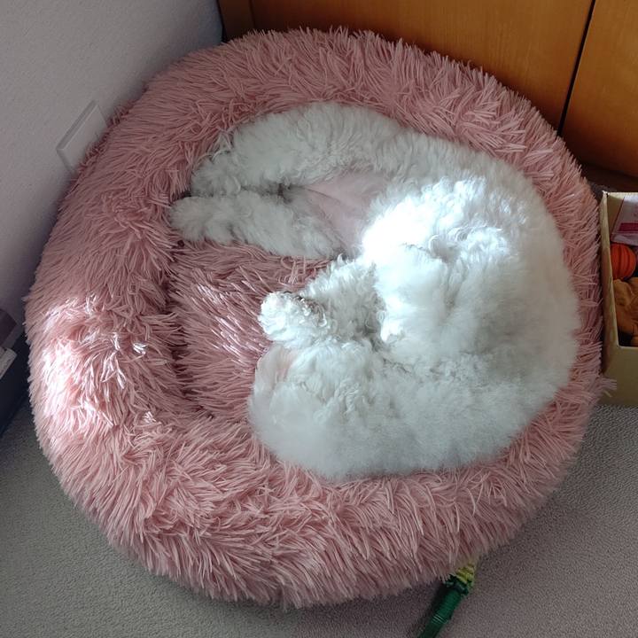 577475d7 a6c2 45e6 9aab bb764a568567 1711697051277