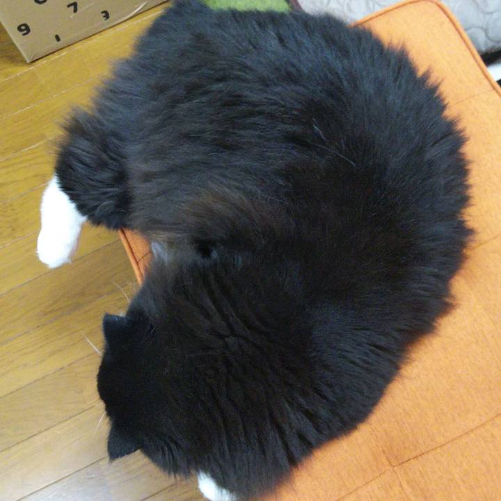 5774a239 460e 4755 a306 4e2a69b5f6b8 1656753403022