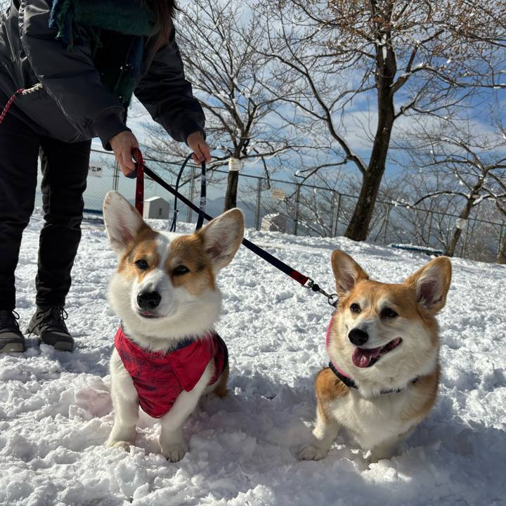 5774a5e8 9455 446b af83 f177f3455c02 1770693148303