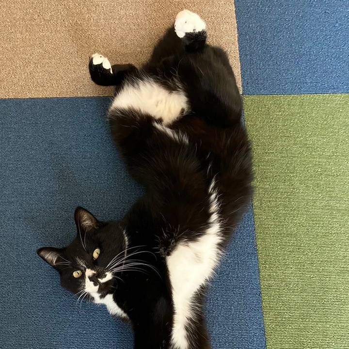 5774ab8d 677e 45e3 ac3d 060b2781595c 1680060060127