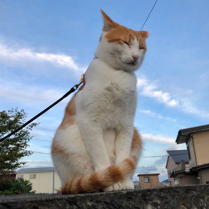 5774bce9 7478 4c70 a5ee 1639e29de3e8 1538051408234