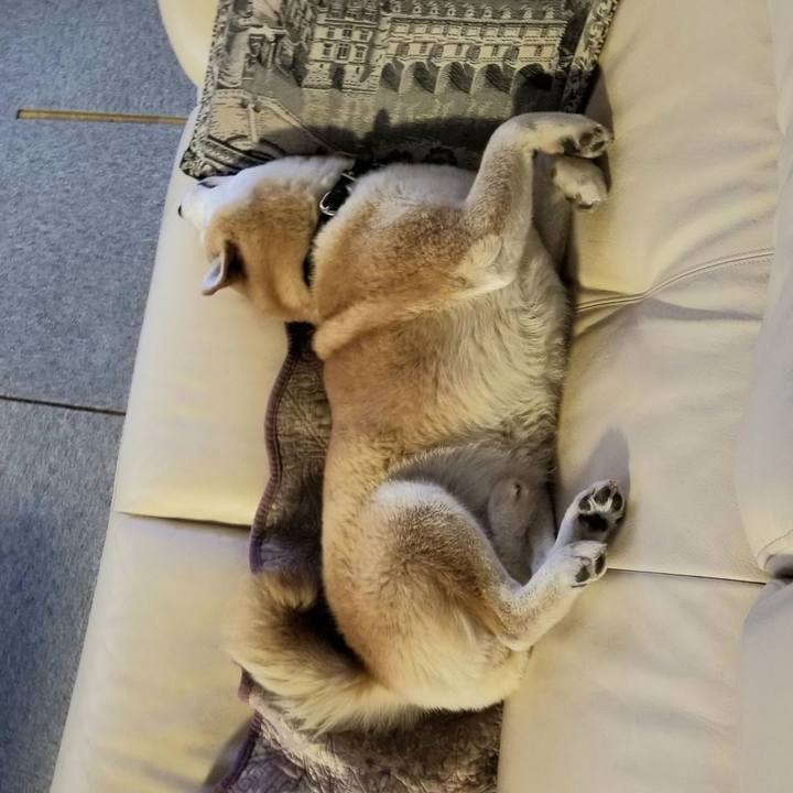 5774c8bc f90f 4446 b108 871dad830049 1638660412023