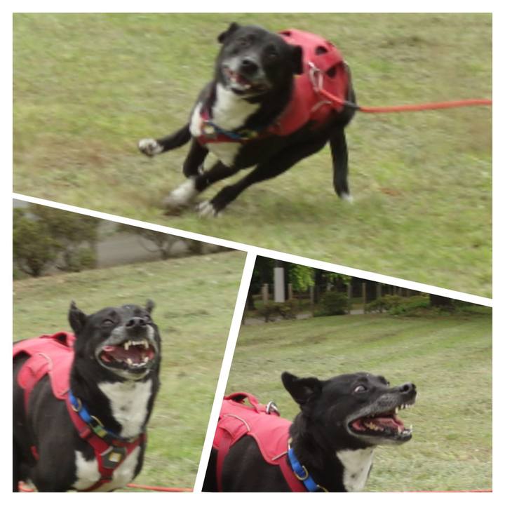 5774cb91 f88a 4138 b2b3 22db3574a29a 1682126719873