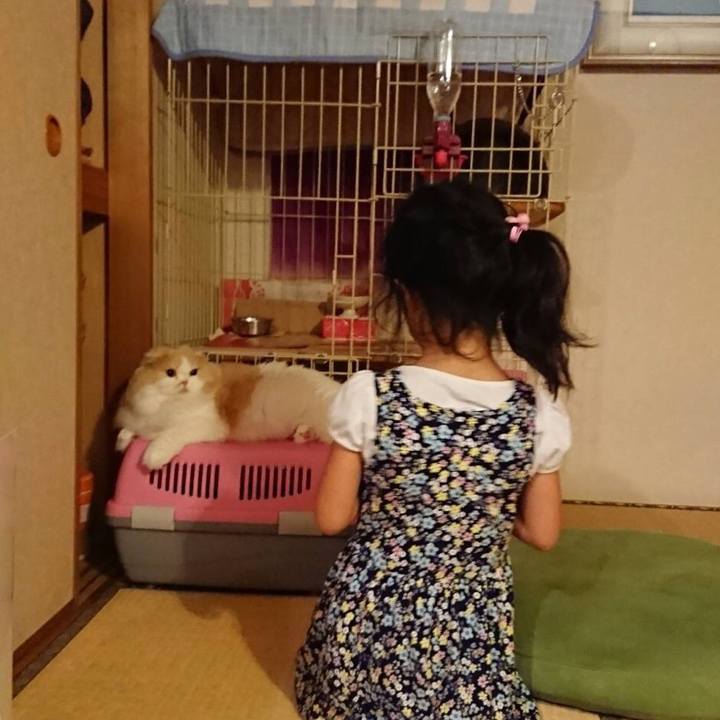 5774e74d 593b 483a beba 50948b8544be 1535410578834