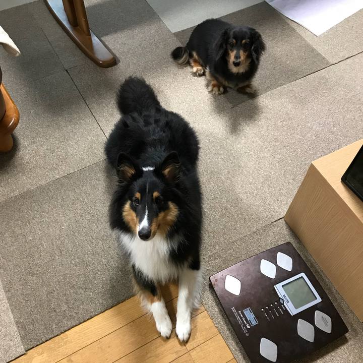 5774ea25 5e34 4785 aa03 4d19114cc169 1530912727952