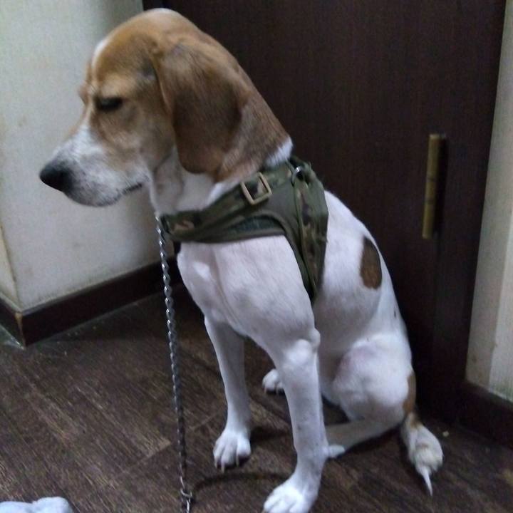 5774ecb3 1824 4685 b915 4f1de7076867 1678542926942