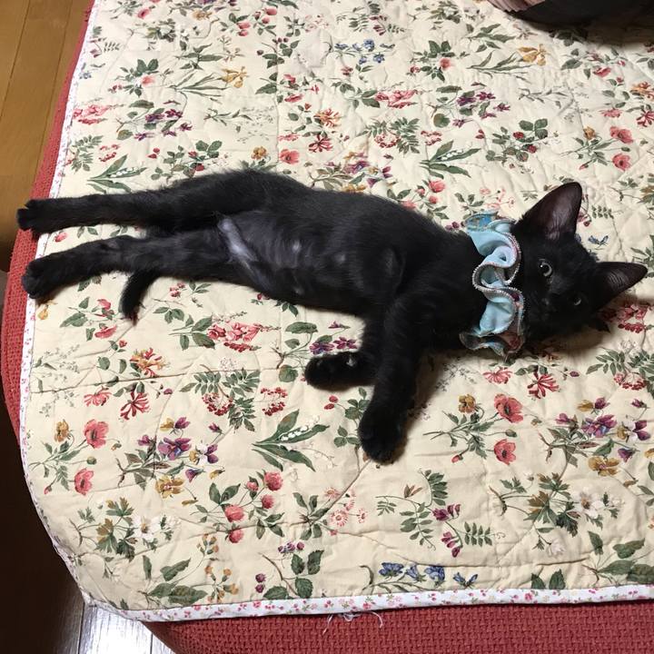 57751608 e398 4a44 b7a2 689147d1f231 1563108269396