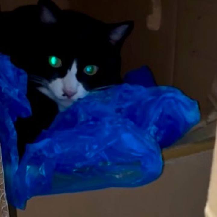 57753376 95ed 48fb 92da 48f58996b800 1758537735044