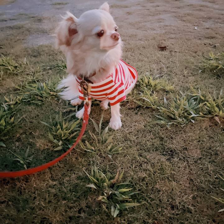 577559f1 d82c 4fa6 8a0a b50a8c5c4a89 1662462442826