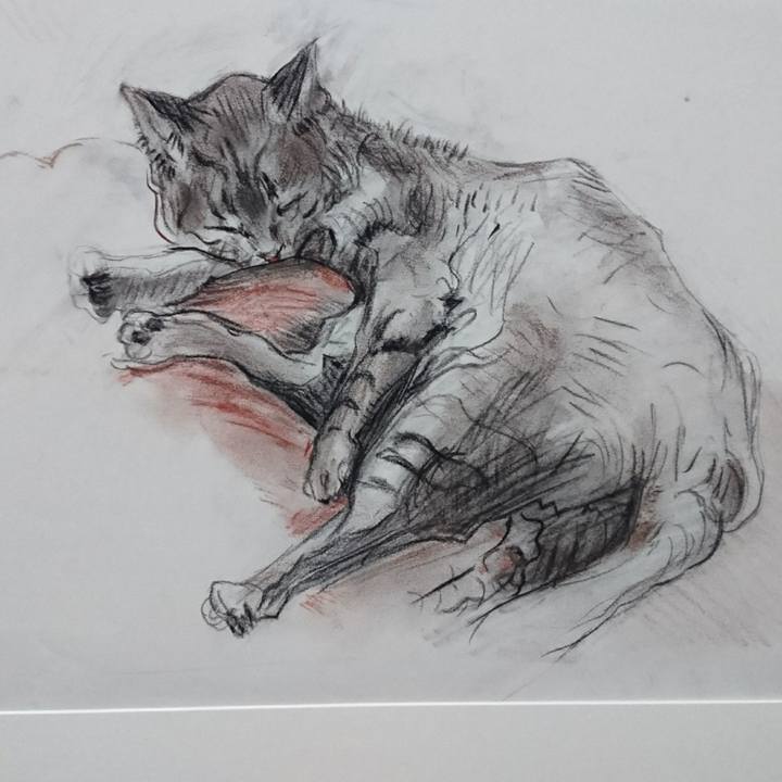 57755a14 7fe1 4126 a1e8 c09f5ab8e735 1549194161749