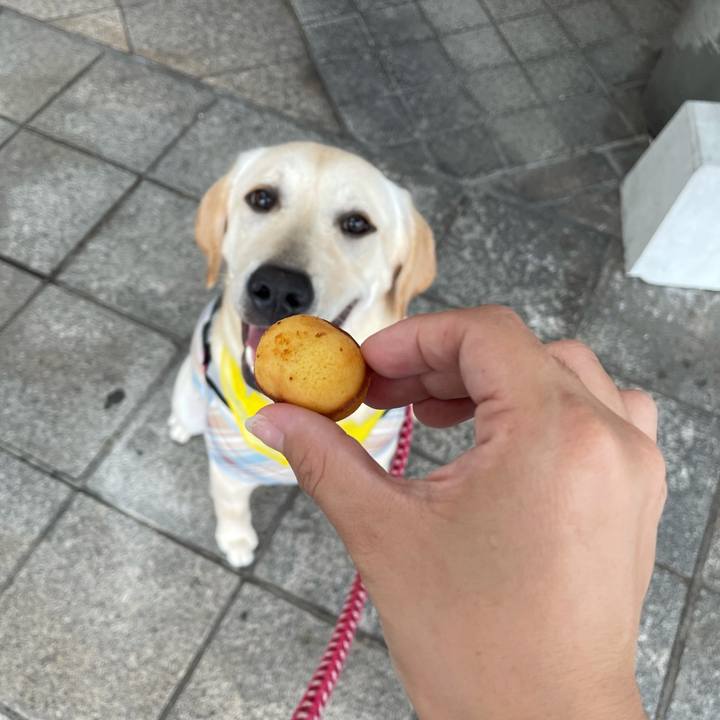 57757ec0 6f99 4d4c b4dd 843d8233e2c9 1625732352517