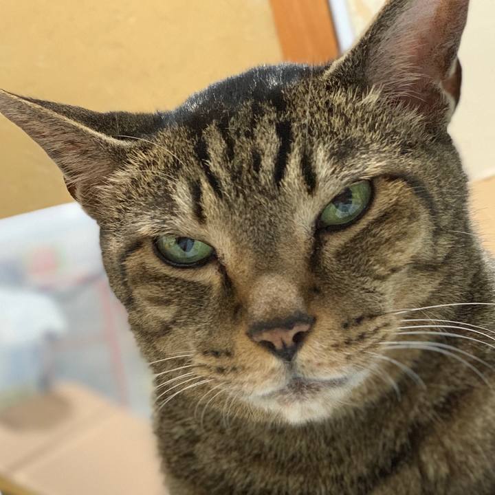 577586ac 762c 48fc bd8e ff3a885dbc4d 1560301875479