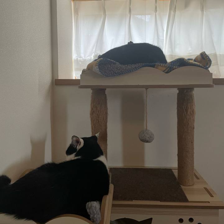 57758c44 771c 439e b8b8 72c796f849c5 1705846387389