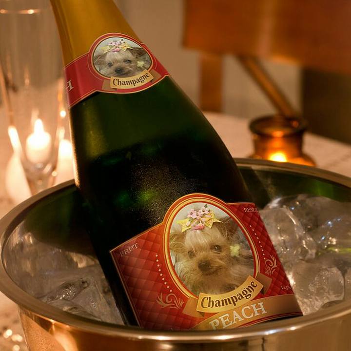 5775909c 0be6 4c5c 9992 76bf9de13a50 1546311691298