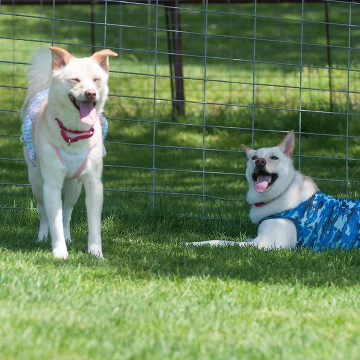 5775b2dc 4ed8 4a11 986b 8e3b4ac10de1 1525165632134