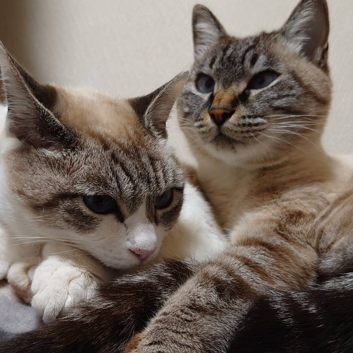 57760cef ef6e 435c 83bd 3b43359899cb 1639719009243