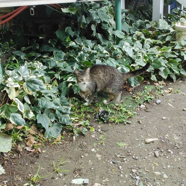 577612d4 7f35 4947 a3bb fc3cd0ecdaf3 1568335960730