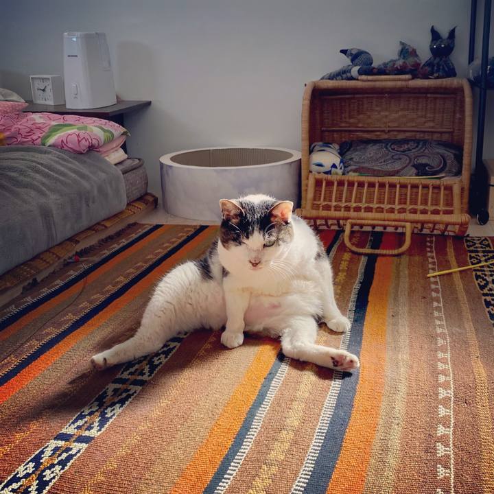 57761e82 dbb5 4b98 811b 5c6410f02826 1582260555596