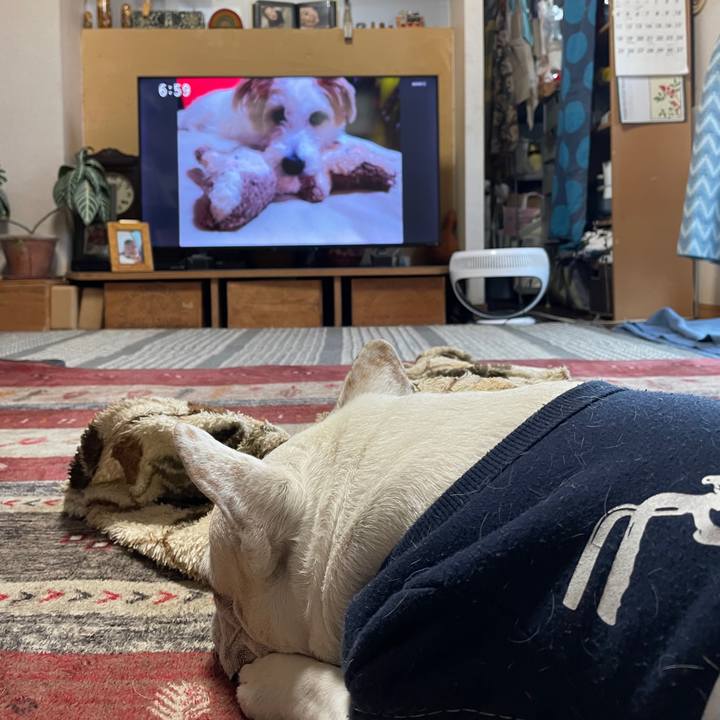 57762fdb f3a4 4f06 bf81 fef9c60c6cb4 1769123751941