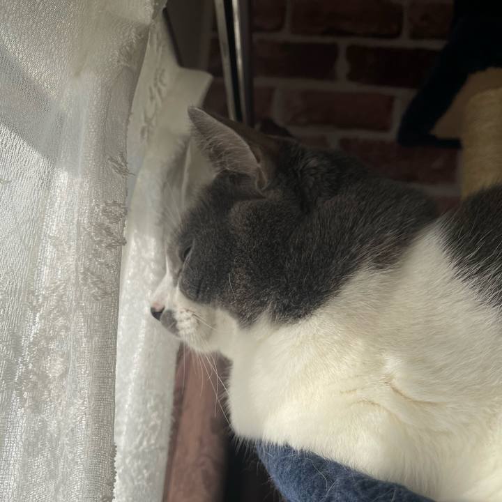 57765d50 0e91 43d3 96ba 07a18dc4ddc9 1674604577680