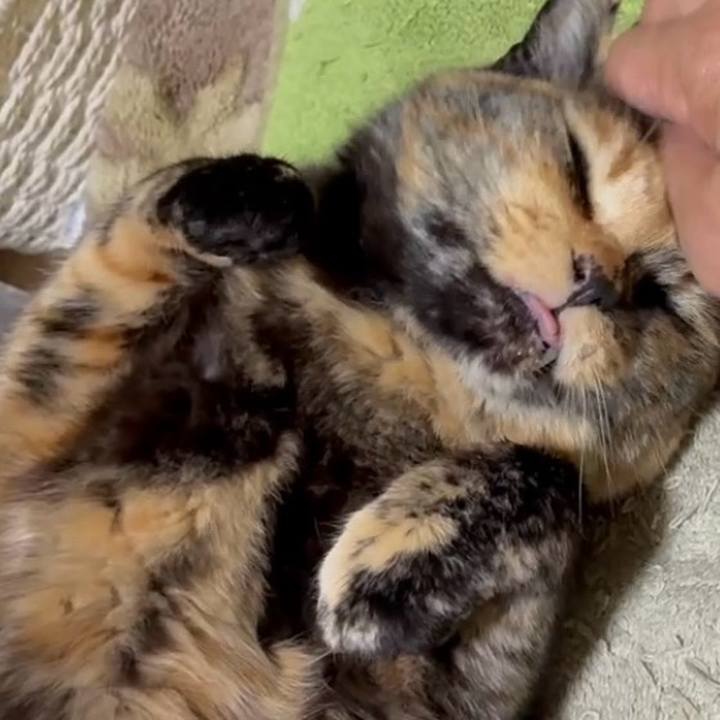 57767157 b3cb 4df0 ba8f 18eda2536ae6 1747684588802