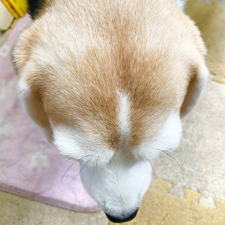 57767d38 392e 41c5 895b 105126c261e5 1604029980516