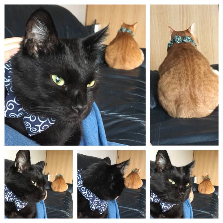 5776874f 49a7 4931 a76e 4f8fa869fad9 1537565382229